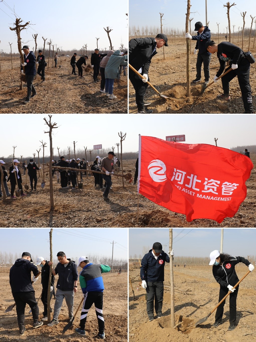 1710723989286509.jpg 123.jpg